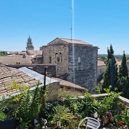 Un Nid Sur Les Toits Face Au Palais Des Papes Avignon