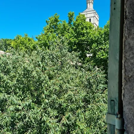 Un Nid Sur Les Toits Face Au Palais Des Papes Lejlighed *