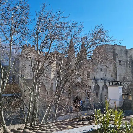 Lejlighed Un Nid Sur Les Toits Face Au Palais Des Papes