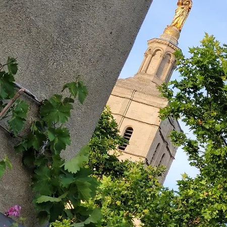 Un Nid Sur Les Toits Face Au Palais Des Papes Avignon