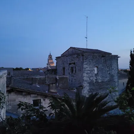 Un Nid Sur Les Toits Face Au Palais Des Papes Lejlighed