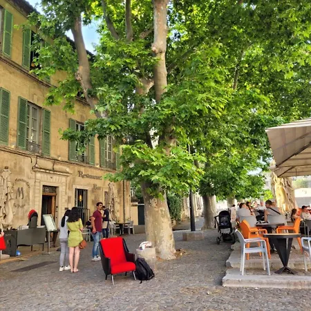 Un Nid Sur Les Toits Face Au Palais Des Papes *